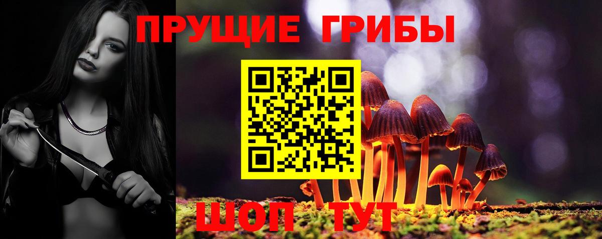 Псилоцибиновые грибы прущие грибы  Вход с VPN  Камышин 